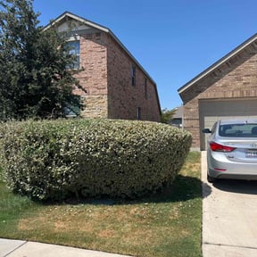 Bush Trimming by Eagle Electric Lawn Care reviewed on August 17, 2025