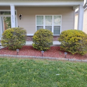 Bush Trimming by Coram landscaping reviewed on August 15, 2025