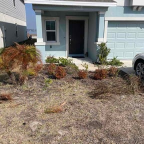 Bush Trimming by Wildflower Lawn Care Company reviewed on February 17, 2026