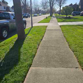 yard maintenance by Clean The Green Lawncare reviewed on August 14, 2025