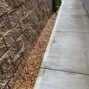 Flower Bed Weeding by Bagged N Tagged, LLC reviewed on August 16, 2025