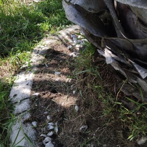 Flower Bed Weeding by Haines Lawn Care reviewed on August 17, 2025