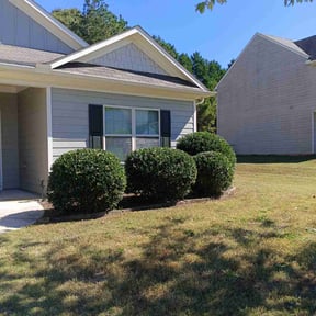 Bush Trimming by Clover construction LLC reviewed on November 24, 2025