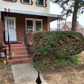 Bush Trimming by PeachScapersllc Landscaping And Urban Gardening reviewed on August 18, 2025