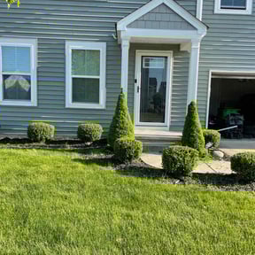 Bush Trimming by Rena Genets Lawn Care reviewed on August 20, 2025