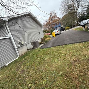 Leaf Removal by Handy Jim Dandy reviewed on November 20, 2025