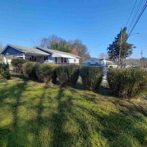 Bush Trimming by L&L Landscape Contractors LLC reviewed on August 21, 2025
