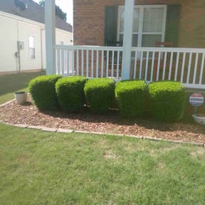 Bush Trimming by RGA Landscaping LLC reviewed on August 17, 2025