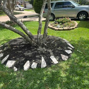 Bush Trimming by Michael Ritchie reviewed on April 16, 2026