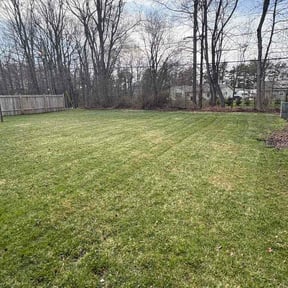 Leaf Removal by SS Landscaping and tree care services reviewed on August 19, 2026