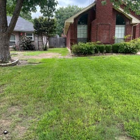 yard service by Stetty's Lawn LLC reviewed on December 11, 2025