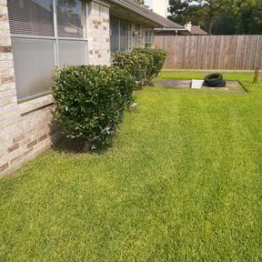 Bush Trimming by Daniel&#039;s lawn care service LLC reviewed on May 13, 2024