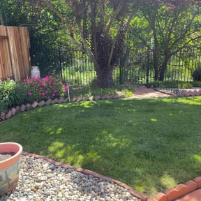 yard maintenance by Heredia Lawn Care reviewed on August 16, 2025