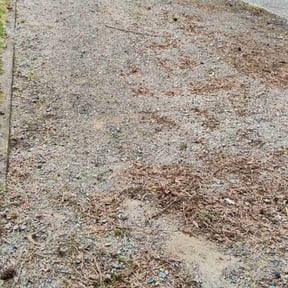 Leaf Removal by 25 And Up Cuts More LLC reviewed on September 18, 2025