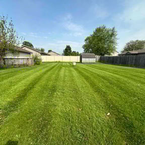 landscaping by Zad&#039;s Lawn Worx reviewed on August 16, 2025