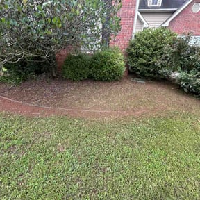 Flower Bed Weeding by Tree service and moving reviewed on July 8, 2026