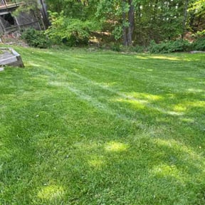 turf maintenance by Mow Zen reviewed on August 21, 2023