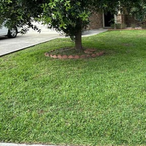 yard service by J&A Lawn Services reviewed on August 16, 2025