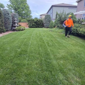 lawn care by Ecoscape lawn maintenance inc reviewed on August 16, 2025