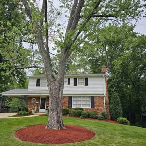 Other by Jones landscaping reviewed on August 19, 2025