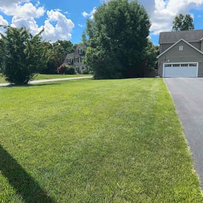 grass maintenance by Cre8tive Art's Work LLC Lawn Care & Property Preservation reviewed on August 19, 2025