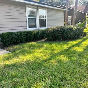 Bush Trimming by Riser Lawn Co LLC reviewed on August 18, 2025
