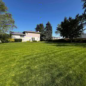 lawn care by Taylor's Lawn care reviewed on August 21, 2025