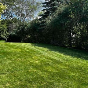 landscaping by Lawn masters reviewed on August 16, 2025