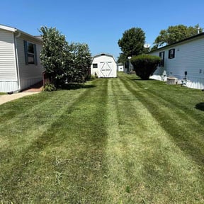 turf maintenance by Moises Perez reviewed on October 7, 2023