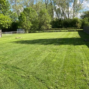 landscaping by Thomas Kelly Home Services reviewed on May 2, 2022