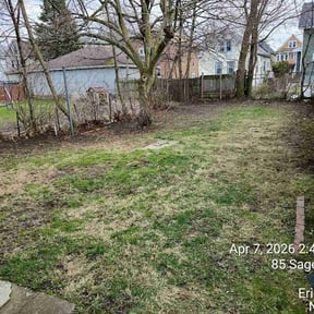 Leaf Removal by Jerry’s reviewed on April 7, 2026