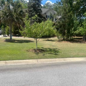 yard work by Manicured Lawns reviewed on August 21, 2025