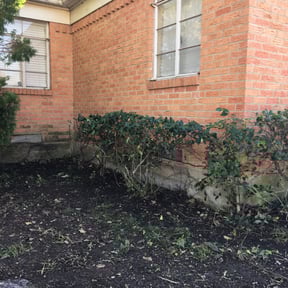 Bush Trimming by Grass Care By the Beach reviewed on August 16, 2025