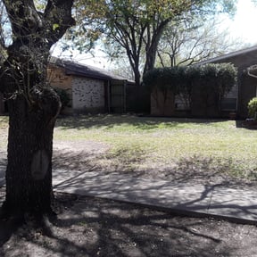 Leaf Removal by Turf Angels llc reviewed on September 19, 2025