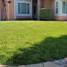residential landscaping by Austin Way reviewed on August 15, 2025