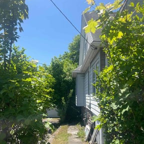 Bush Trimming by Ricos Landscaping &lawn care reviewed on August 19, 2025