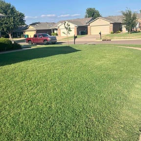 landscaping services by Marisol lawn care reviewed on August 18, 2025