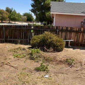 Bush Trimming by Johnson Lawn Care reviewed on October 20, 2025