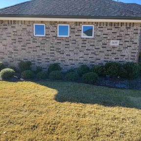 Bush Trimming by Chiappetta  fierro llc reviewed on December 2, 2025