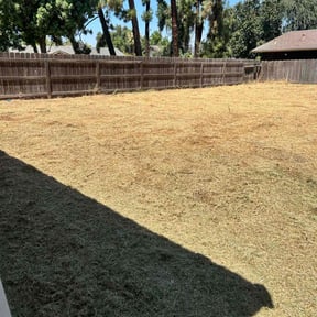 grass cutting by Tellez Landscaping reviewed on September 2, 2024