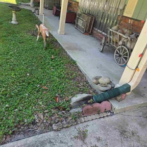 Flower Bed Weeding by A CUT ABOVE LANDSCAPES reviewed on October 20, 2025