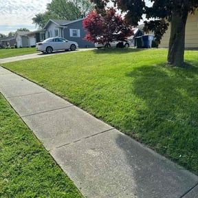 landscaping services by Héctor Lawn and Tree reviewed on August 20, 2025