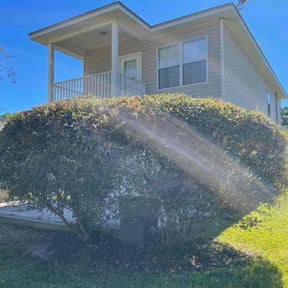 Bush Trimming by Wichi landscaping reviewed on October 20, 2025