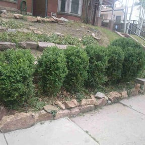 Bush Trimming by Pepperseed Professional Outdoor Services reviewed on August 17, 2025