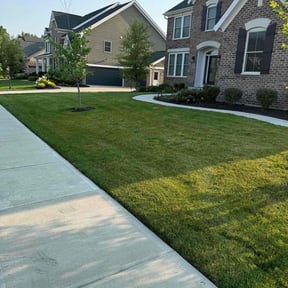 yard work by Webb landscaping reviewed on August 21, 2025