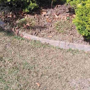 Flower Bed Weeding by Budget Cut Lawn Service reviewed on April 9, 2026