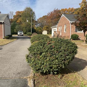 Bush Trimming by FlexCuts lawn care reviewed on November 24, 2025