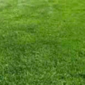 landscaping by Hanson lawn reviewed on August 16, 2025