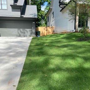 yard maintenance by Richard Solier reviewed on August 18, 2025