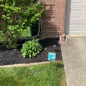 Other by R & R Landscaping reviewed on August 21, 2025